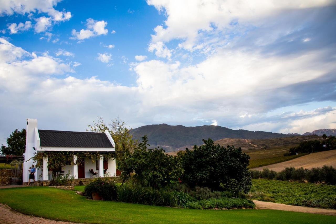 Vineyard Cottage At Bosman Wines Wellington Exterior photo